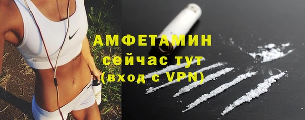 сатива Аркадак