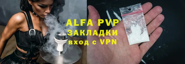 сатива Елизово