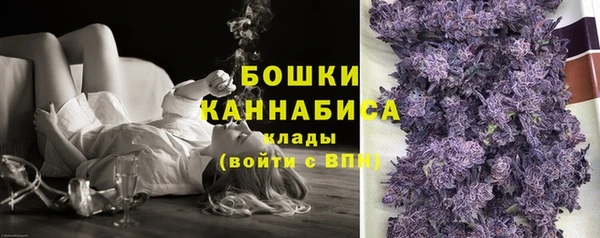 сатива Аркадак