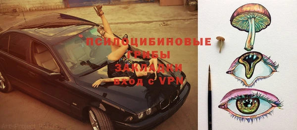сатива Аркадак